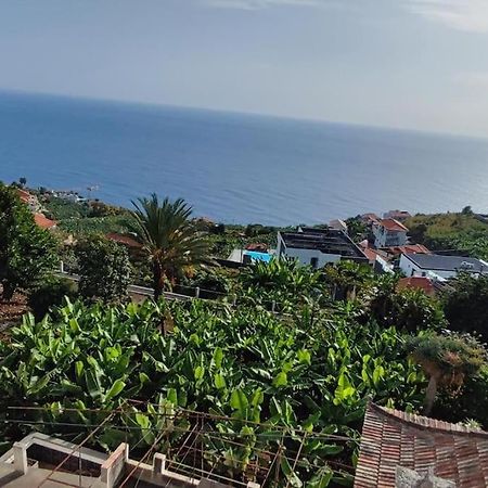 Sunny Rooftop & Perfect View Apartment Arco da Calheta  Exterior foto