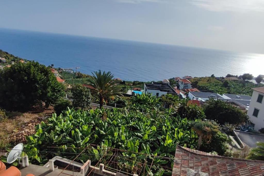 Sunny Rooftop & Perfect View Apartment Arco da Calheta  Exterior foto